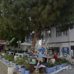 Özer Apart Fotoğraf 15